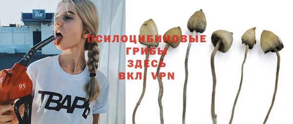 стафф Алексеевка