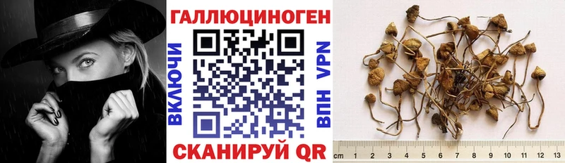 Галлюциногенные грибы мухоморы  Жуковский 