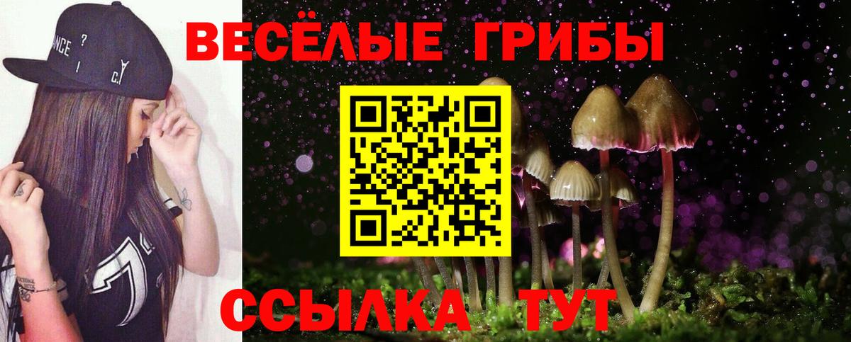 Псилоцибиновые грибы прущие грибы  Вход с VPN  Жуковский 